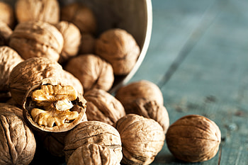 Walnuts, Health benefits, Harvard health, Nutritional powerhouse HD wallpaper