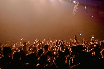 A lively crowd cheering and dancing at a nocturnal music performance in a dimly lit nightclub. HD wallpaper