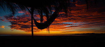 Sunset, Clouds, Dark, Palm, Hammock HD wallpaper
