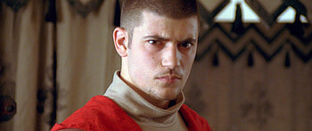 Viktor Krum, Harry Potter cast, Transformations, Journey after the series HD wallpaper