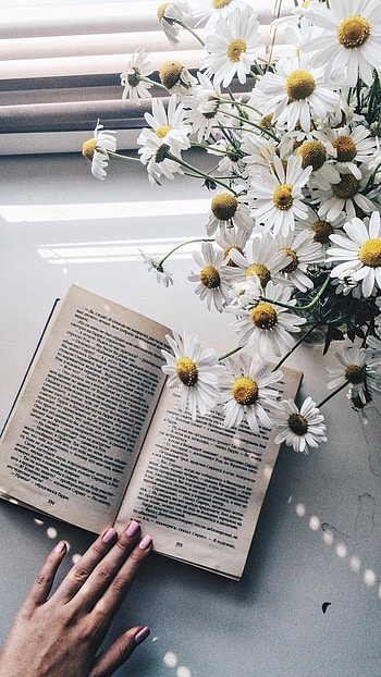 Flowers Aesthetic, White HD phone wallpaper