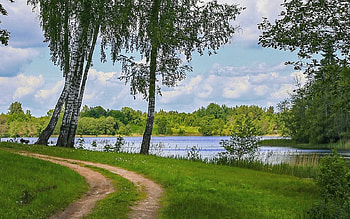 Road and Lake, Latvia, birches, road, lake HD wallpaper