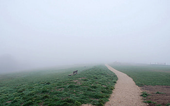 Nature, Road, Fog, Path, Trail, Haze, Bench HD wallpaper