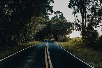 A tranquil forest road lined with lush trees and clear asphalt, ideal for nature lovers. HD wallpaper
