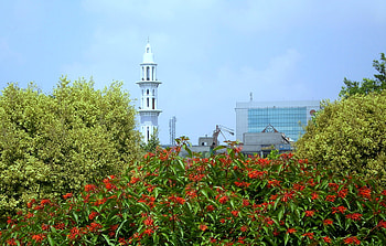 Flowers and mosque, nature, flowers, mosque HD wallpaper