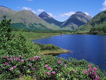 Glen Etive, landscapes, green, flowers, scotland, mountains, lake HD wallpaper