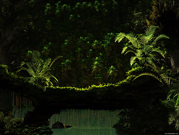 Beautiful Green, moss, green, beautiful, vegetation, dark HD wallpaper