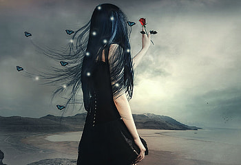 The rose, landscape, rose, fantasy, woman HD wallpaper