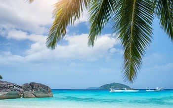 Island getaway, Rocky coastlines, Palm tree perspective, Beach paradise HD wallpaper