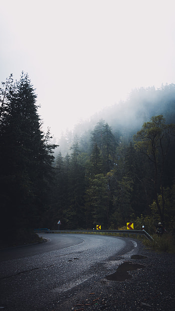 Nature, Trees, Road, Turn, Forest, Fog, Asphalt HD phone wallpaper