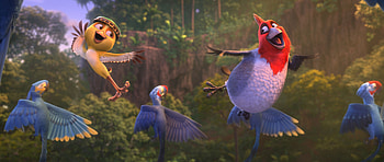 Rio2, Rio, New, 2 HD wallpaper