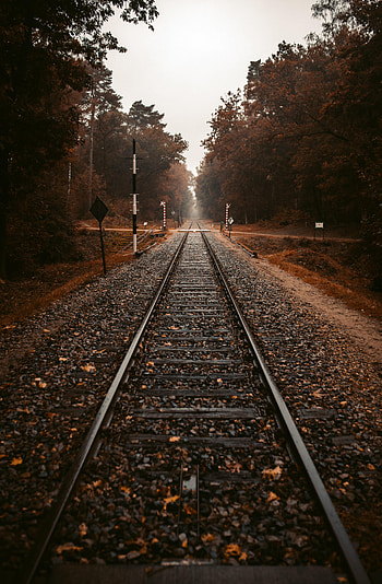 Rails, Nature, Trees, Autumn, Railway HD phone wallpaper