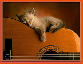 Ahhhh Musical Sleepy Kitty, cats, music, animals, kittens HD wallpaper