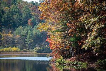 Nature, Rivers, Trees, Autumn, Branches Reflection HD wallpaper