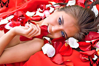 Rose Petals, White, Women, Models, Petals, Red, Butterflies, Rose, Female HD wallpaper