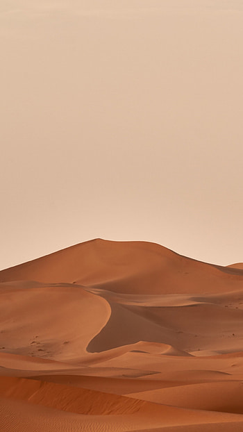 Endless horizons, Desert oasis, Tranquil dunes, Nature's tapestry HD phone wallpaper