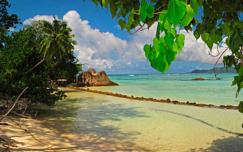 Tropical coast, Seychelles, La Digue, Leaves HD wallpaper