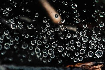 Water drops, water ball, close up HD wallpaper