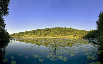 Nature, Water, Trees, Leaves, Lake, Dahl, Distance HD wallpaper