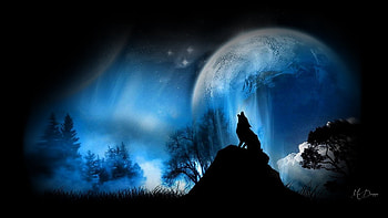 Wolf New Moon, blue, full moon, loup, lobo, haunting, mystical, wolf, Firefox theme, howling, trees, sky, forest HD wallpaper