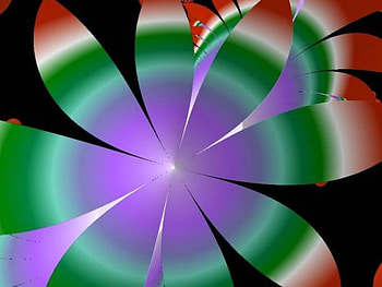 Rainbow Petals, flower HD wallpaper