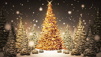 White Christmas Tree Lights (14) HD wallpaper