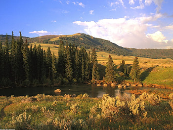 Lamar-River-Valley-Yellowstone-Wyoming, yellowstone, forest, park, mountain HD wallpaper