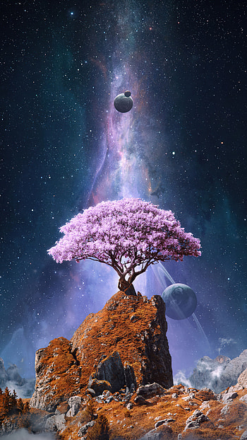 Aestetic, atmosphere, sky HD phone wallpaper