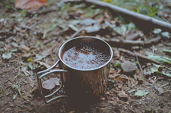 Food, Coffee, Cup, Foam, Foliage, Mug HD wallpaper