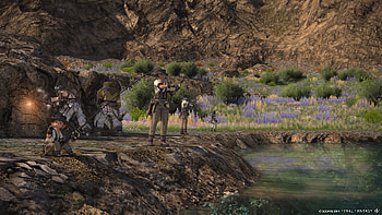 Final Fantasy XIV: Dawntrail Adventure -, video game, Final Fantasy XIV: Dawntrail HD wallpaper