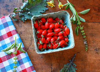 Ways to use goji berries, Sharon Palmer tips, Plant-powered dietitian, Nutritional boost HD wallpaper