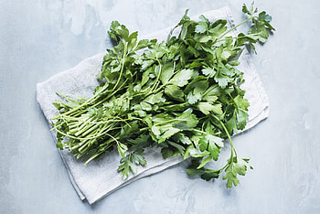 Cilantro substitutes, Alternative herbs, Culinary preferences, Ingredient replacement HD wallpaper