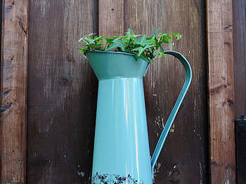 Ivy In The Watering Can, Abstract, graphy, Plant, Watering Can, Nature, Ivy HD wallpaper