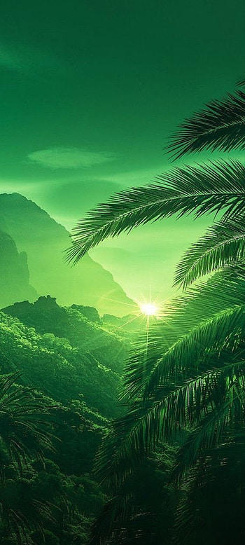 LoveLife, cloud, sky, green HD phone wallpaper