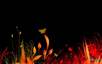 Black Fire , abstract, 3d HD wallpaper