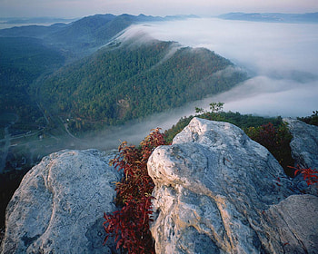 Fog in Cumberland Gap National Park, cumberland, mountain, park, rock, fog, trees, national, nature, sky HD wallpaper