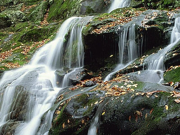Dark Hollow Falls, Shenandoah National Park, Virginia, waterfallas, leaves, rock HD wallpaper