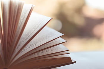 Close-up view of an open book with pages fanned out against a soft blurred background. HD wallpaper