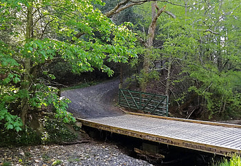 Landscape, Nature, Trees, Road, Bridge HD wallpaper