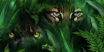 'Jungle eyes'....., cats, eyes, jungle, animals HD wallpaper