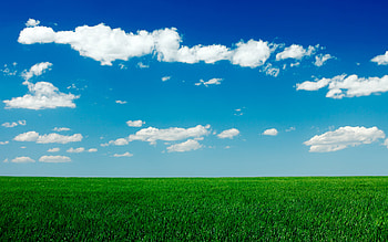 Grassy field , Lush green, Samantha Tremblay, Refreshing visuals HD wallpaper