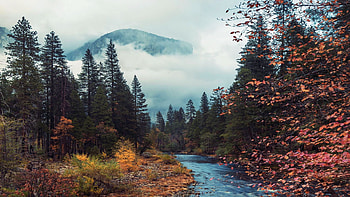 The Merced River, Yosemite NP, California, foggy, landscape, trees, autumn, clouds, sky, mountains, usa HD wallpaper
