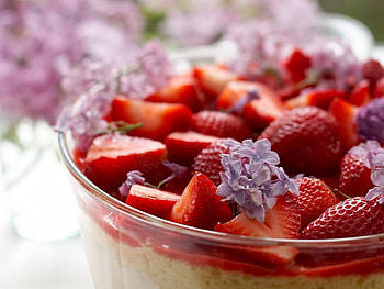 Food, Strawberry HD wallpaper