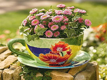 daisy, colorful, spring, cup, brick HD wallpaper