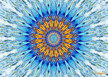 Fire and ice flower, blue, white, by cehenot, art, fire and ice, orange, painting, abstract, pictura, flower, yellow, texture HD wallpaper