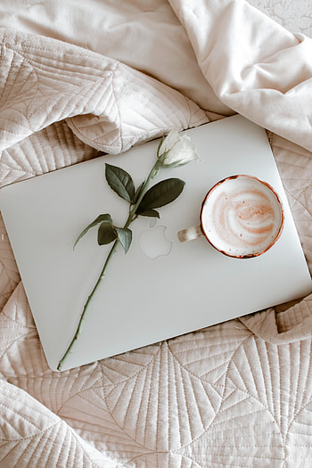 Coffee, Miscellanea, Miscellaneous, Rose Flower, Rose, Cup, Cloth, Macbook HD phone wallpaper