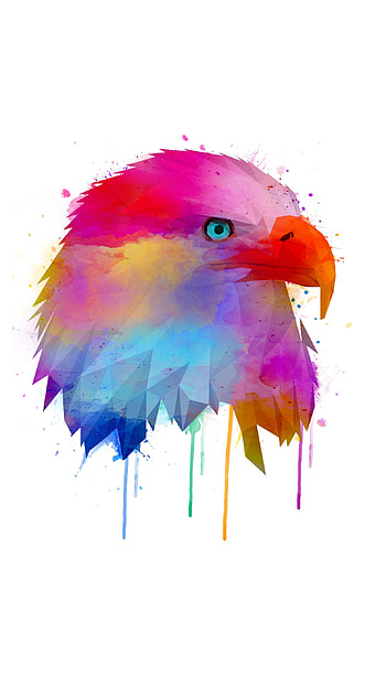 Watercolor eagle, feather, art HD phone wallpaper