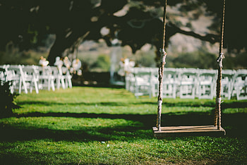 Nature, Grass, Swing, Celebration, Triumph HD wallpaper