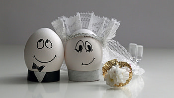 Eggs Wedding, easter, eggs, weeding, creative, funny HD wallpaper