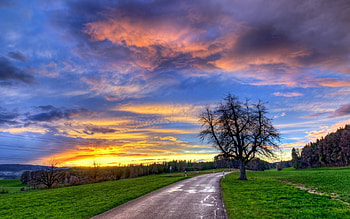Nature, Sunset, Wood, Road, Turn, Tree, Silence HD wallpaper